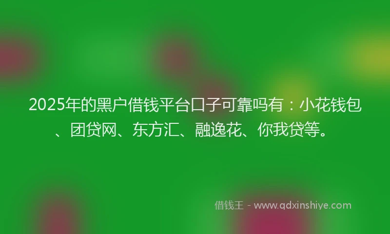 2025年的黑户借钱平台口子可靠吗有：小花钱包、团贷网、东方汇、融逸花、你我贷等。