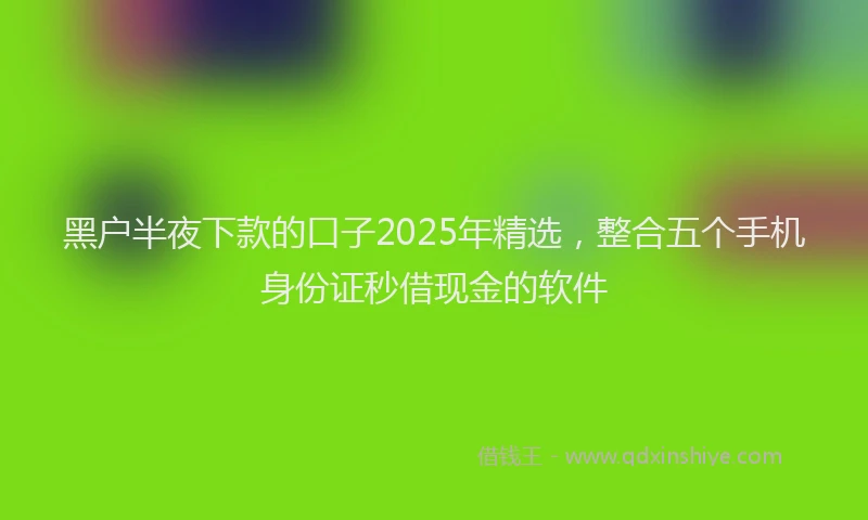 黑户半夜下款的口子2025年精选，整合五个手机身份证秒借现金的软件
