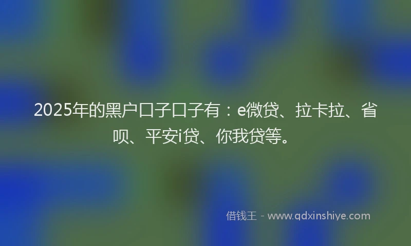 2025年的黑户口子口子有：e微贷、拉卡拉、省呗、平安i贷、你我贷等。