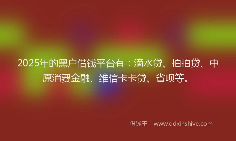 2025年的黑户借钱平台有：滴水贷、拍拍贷、中原消费金融、维信卡卡贷、省呗等。