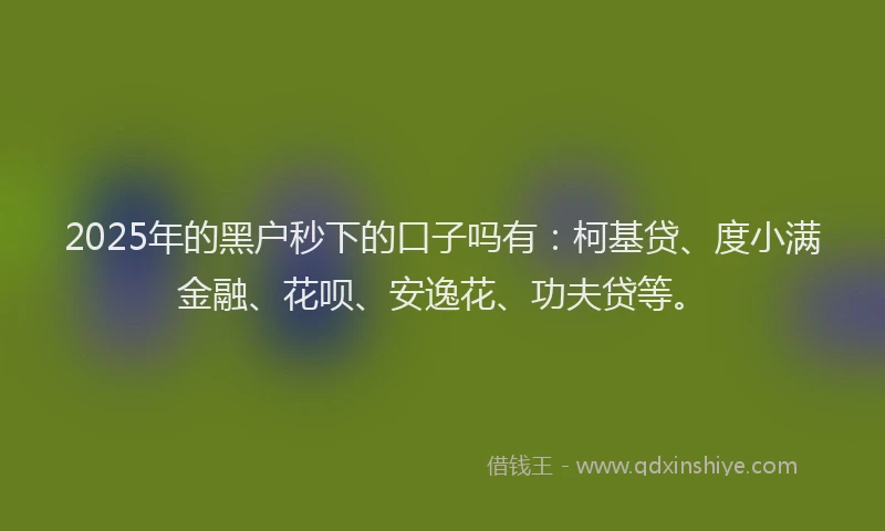 2025年的黑户秒下的口子吗有：柯基贷、度小满金融、花呗、安逸花、功夫贷等。
