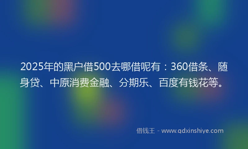 2025年的黑户借500去哪借呢有：360借条、随身贷、中原消费金融、分期乐、百度有钱花等。