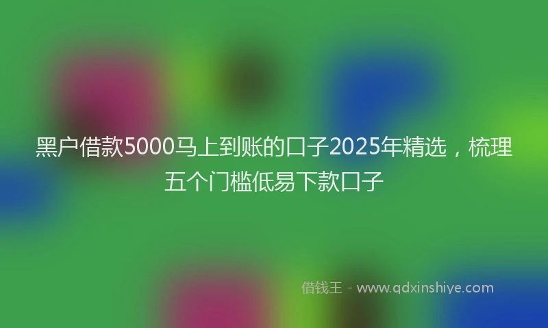 黑户借款5000马上到账的口子2025年精选，梳理五个门槛低易下款口子
