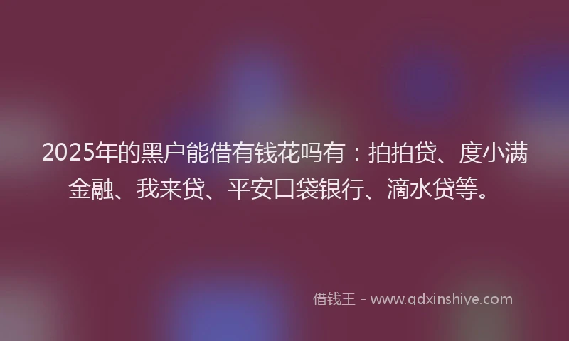 2025年的黑户能借有钱花吗有：拍拍贷、度小满金融、我来贷、平安口袋银行、滴水贷等。