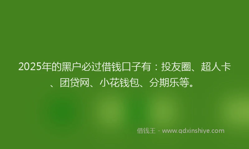 2025年的黑户必过借钱口子有：投友圈、超人卡、团贷网、小花钱包、分期乐等。