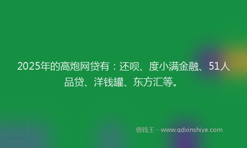 2025年的高炮网贷有：还呗、度小满金融、51人品贷、洋钱罐、东方汇等。