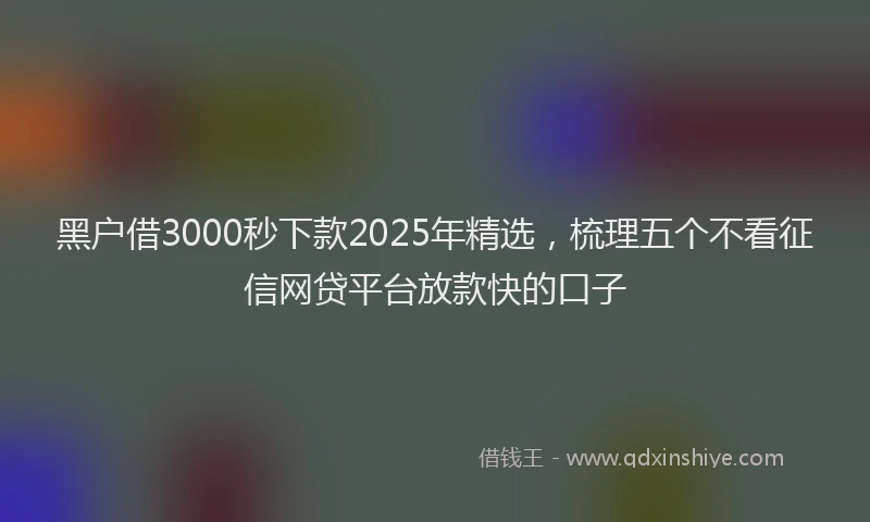 黑户借3000秒下款2025年精选，梳理五个不看征信网贷平台放款快的口子