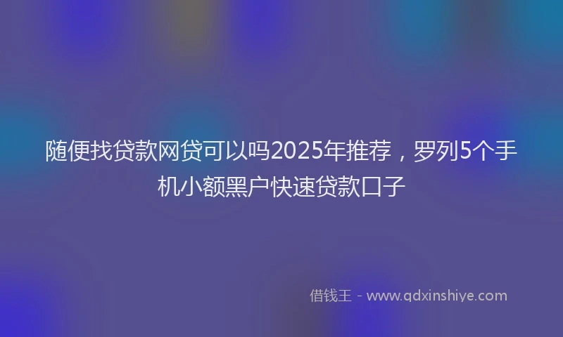 随便找贷款网贷可以吗2025年推荐，罗列5个手机小额黑户快速贷款口子