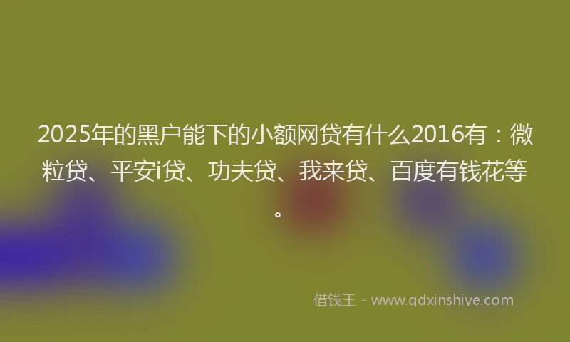 2025年的黑户能下的小额网贷有什么2016有：微粒贷、平安i贷、功夫贷、我来贷、百度有钱花等。