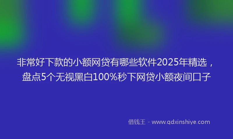 非常好下款的小额网贷有哪些软件2025年精选，盘点5个无视黑白100%秒下网贷小额夜间口子