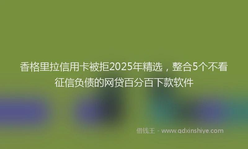香格里拉信用卡被拒2025年精选，整合5个不看征信负债的网贷百分百下款软件
