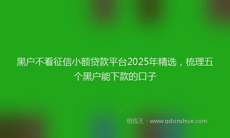 黑户不看征信小额贷款平台2025年精选，梳理五个黑户能下款的口子