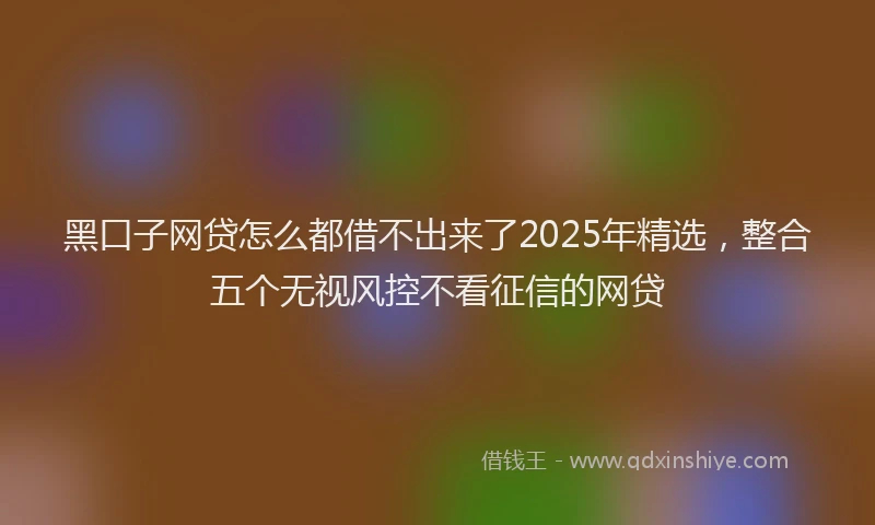 黑口子网贷怎么都借不出来了2025年精选，整合五个无视风控不看征信的网贷