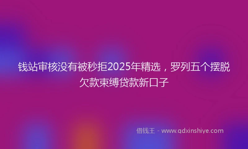 钱站审核没有被秒拒2025年精选，罗列五个摆脱欠款束缚贷款新口子