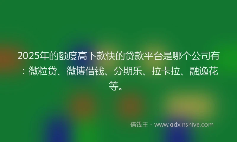 2025年的额度高下款快的贷款平台是哪个公司有：微粒贷、微博借钱、分期乐、拉卡拉、融逸花等。