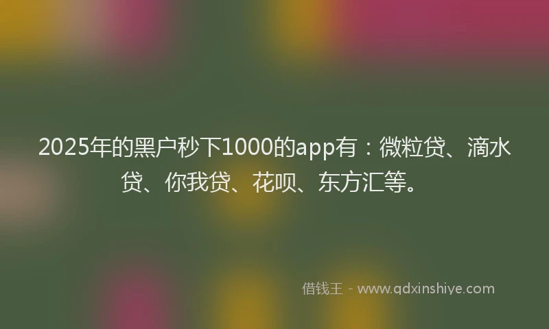 2025年的黑户秒下1000的app有：微粒贷、滴水贷、你我贷、花呗、东方汇等。