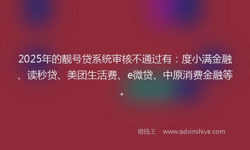 2025年的靓号贷系统审核不通过有：度小满金融、读秒贷、美团生活费、e微贷、中原消费金融等。