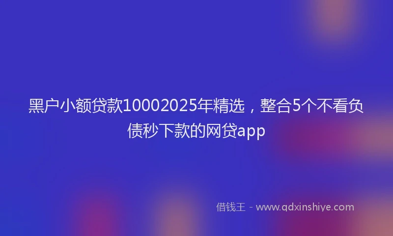 黑户小额贷款10002025年精选，整合5个不看负债秒下款的网贷app