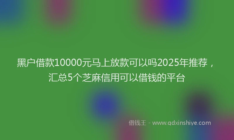 黑户借款10000元马上放款可以吗2025年推荐，汇总5个芝麻信用可以借钱的平台