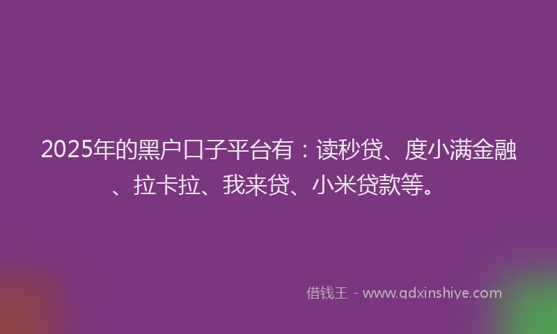 2025年的黑户口子平台有：读秒贷、度小满金融、拉卡拉、我来贷、小米贷款等。