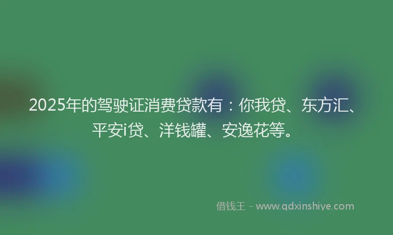 2025年的驾驶证消费贷款有：你我贷、东方汇、平安i贷、洋钱罐、安逸花等。