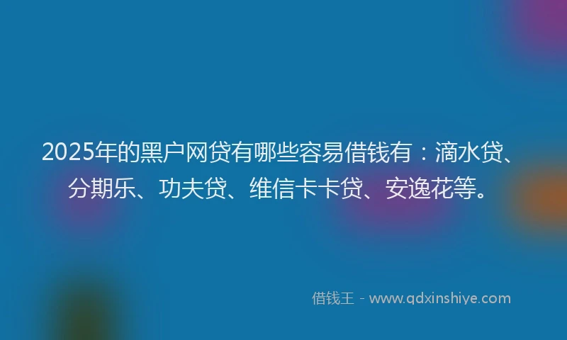 2025年的黑户网贷有哪些容易借钱有：滴水贷、分期乐、功夫贷、维信卡卡贷、安逸花等。