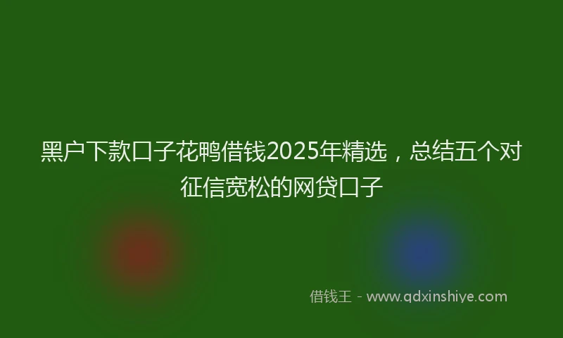 黑户下款口子花鸭借钱2025年精选，总结五个对征信宽松的网贷口子