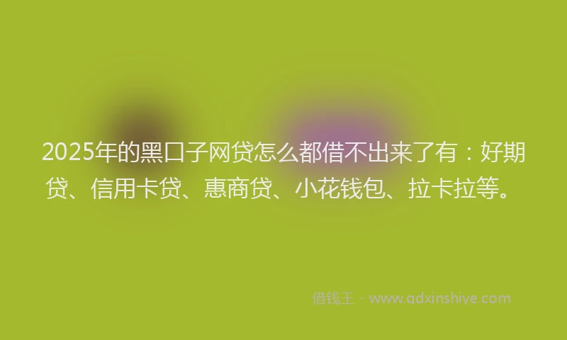 2025年的黑口子网贷怎么都借不出来了有：好期贷、信用卡贷、惠商贷、小花钱包、拉卡拉等。
