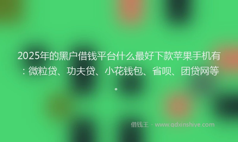 2025年的黑户借钱平台什么最好下款苹果手机有：微粒贷、功夫贷、小花钱包、省呗、团贷网等。