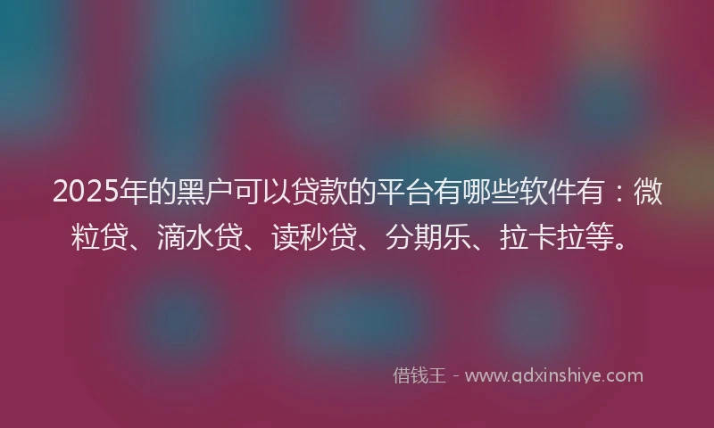 2025年的黑户可以贷款的平台有哪些软件有：微粒贷、滴水贷、读秒贷、分期乐、拉卡拉等。