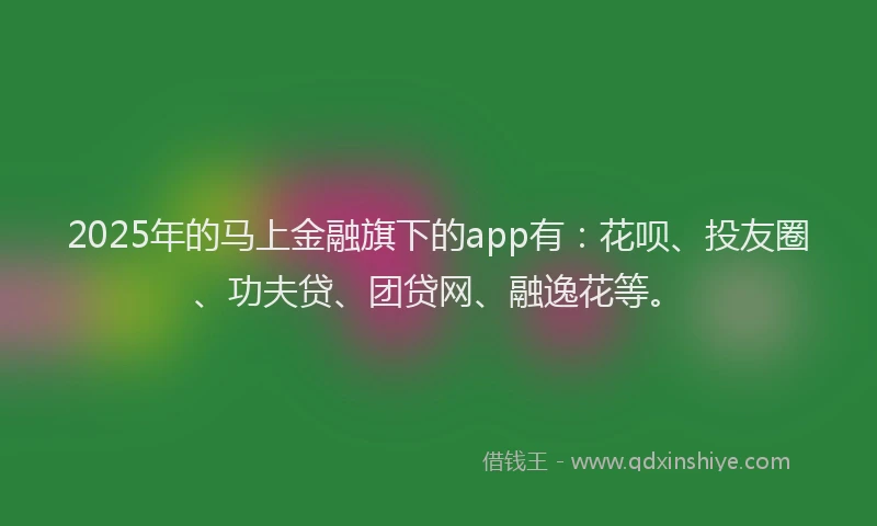 2025年的马上金融旗下的app有：花呗、投友圈、功夫贷、团贷网、融逸花等。
