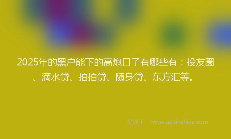 2025年的黑户能下的高炮口子有哪些有：投友圈、滴水贷、拍拍贷、随身贷、东方汇等。