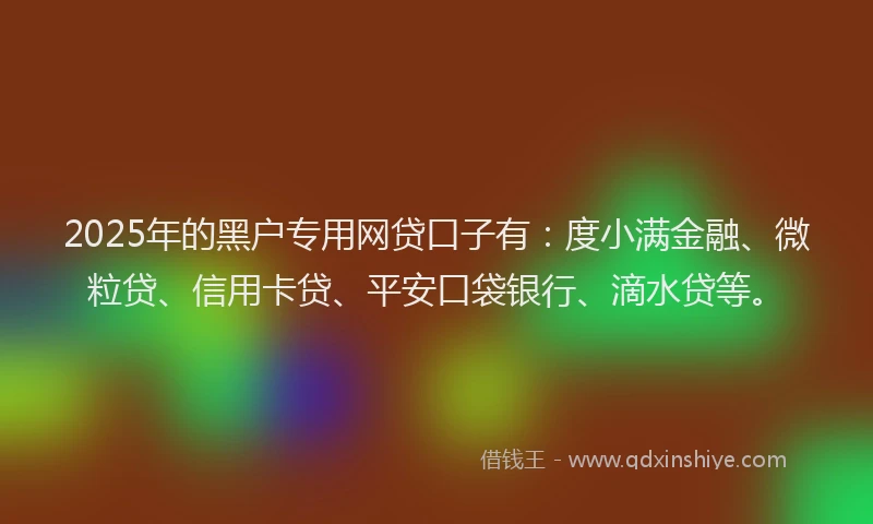 2025年的黑户专用网贷口子有：度小满金融、微粒贷、信用卡贷、平安口袋银行、滴水贷等。