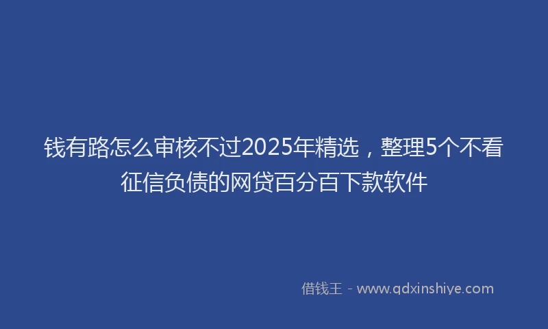 钱有路怎么审核不过2025年精选，整理5个不看征信负债的网贷百分百下款软件