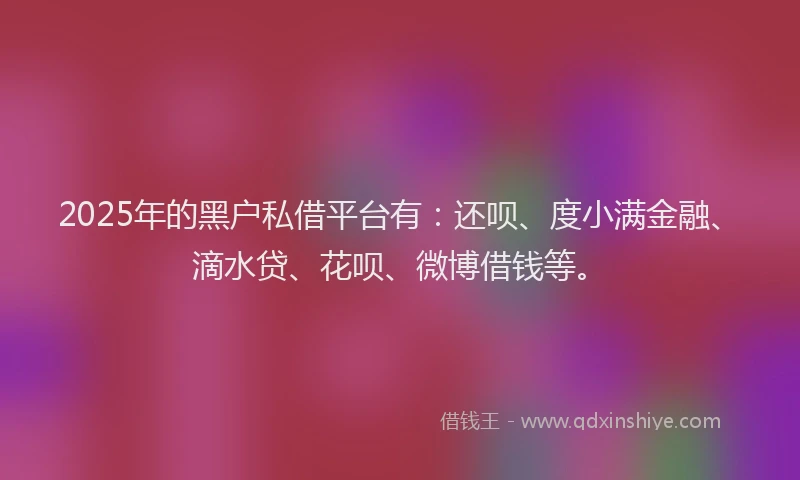 2025年的黑户私借平台有：还呗、度小满金融、滴水贷、花呗、微博借钱等。