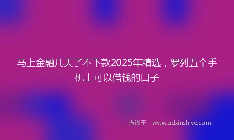马上金融几天了不下款2025年精选，罗列五个手机上可以借钱的口子