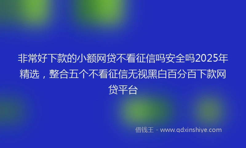 非常好下款的小额网贷不看征信吗安全吗2025年精选，整合五个不看征信无视黑白百分百下款网贷平台
