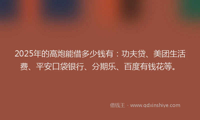 2025年的高炮能借多少钱有：功夫贷、美团生活费、平安口袋银行、分期乐、百度有钱花等。