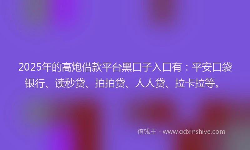 2025年的高炮借款平台黑口子入口有：平安口袋银行、读秒贷、拍拍贷、人人贷、拉卡拉等。