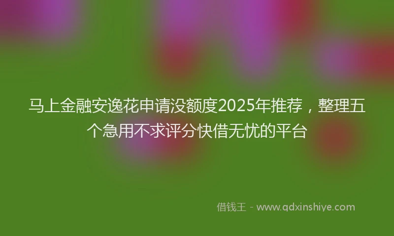 马上金融安逸花申请没额度2025年推荐，整理五个急用不求评分快借无忧的平台