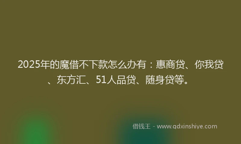 2025年的魔借不下款怎么办有：惠商贷、你我贷、东方汇、51人品贷、随身贷等。