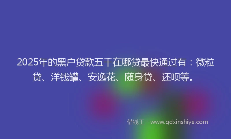 2025年的黑户贷款五千在哪贷最快通过有：微粒贷、洋钱罐、安逸花、随身贷、还呗等。
