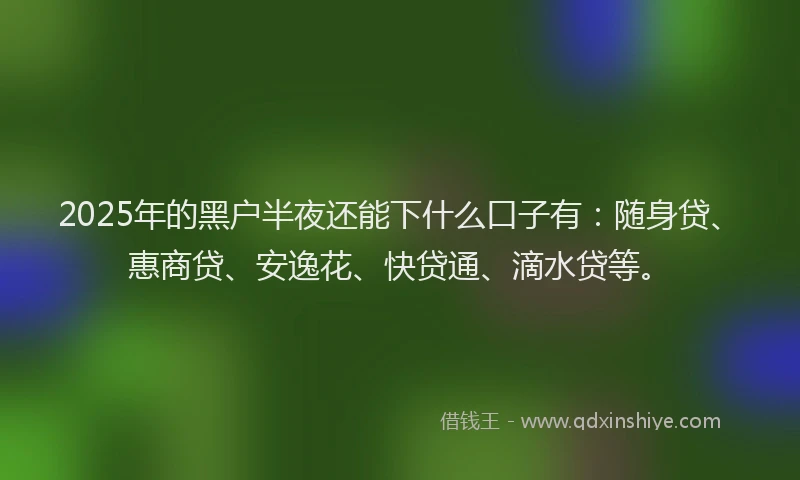 2025年的黑户半夜还能下什么口子有：随身贷、惠商贷、安逸花、快贷通、滴水贷等。
