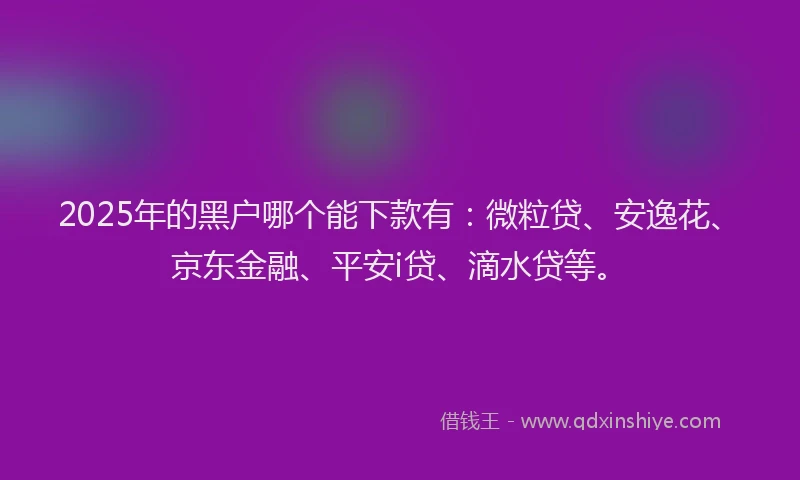 2025年的黑户哪个能下款有：微粒贷、安逸花、京东金融、平安i贷、滴水贷等。
