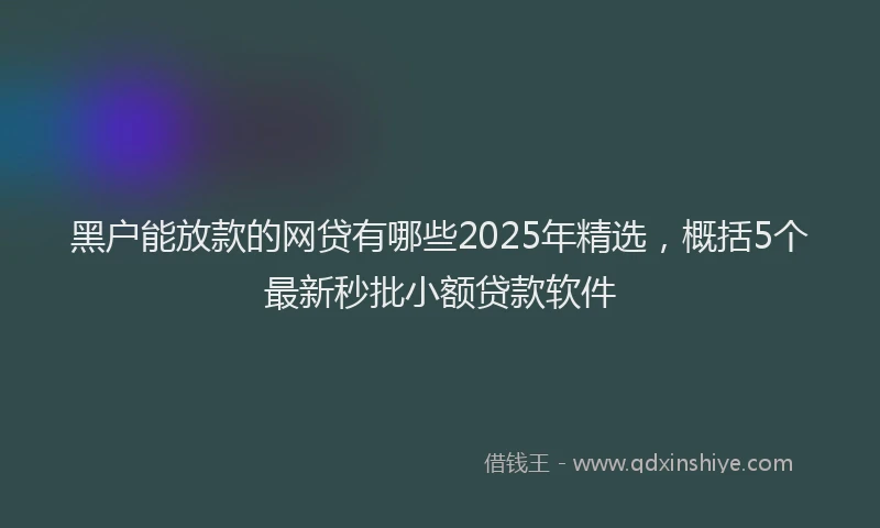 黑户能放款的网贷有哪些2025年精选，概括5个最新秒批小额贷款软件