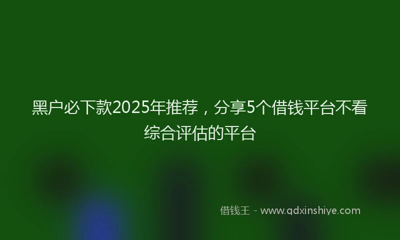 黑户必下款2025年推荐，分享5个借钱平台不看综合评估的平台