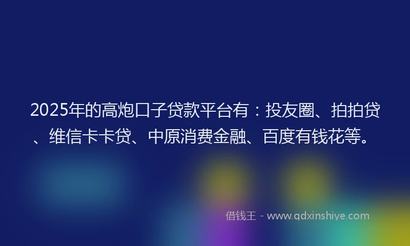 2025年的高炮口子贷款平台有：投友圈、拍拍贷、维信卡卡贷、中原消费金融、百度有钱花等。