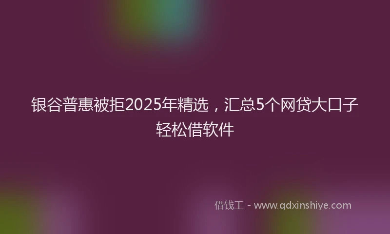 银谷普惠被拒2025年精选，汇总5个网贷大口子轻松借软件