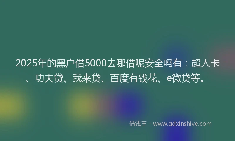 2025年的黑户借5000去哪借呢安全吗有：超人卡、功夫贷、我来贷、百度有钱花、e微贷等。