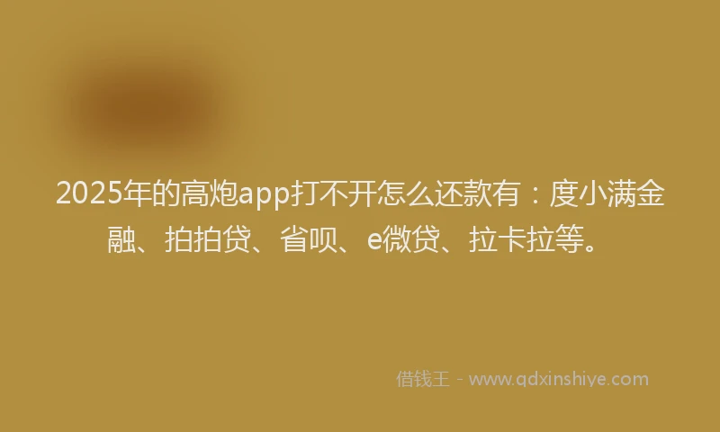 2025年的高炮app打不开怎么还款有：度小满金融、拍拍贷、省呗、e微贷、拉卡拉等。